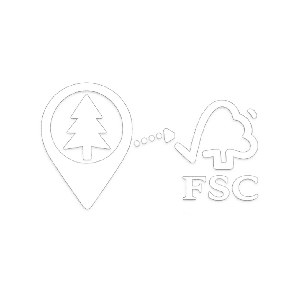 Illustration af FSC-certificeret bøgetræ, der viser ansvarligt skovbrug bag bæredygtige B2B tøjbøjler